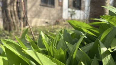 Prodej chaty s pozemkem 495 m² – Hořelec, Bojanov | klid, příroda a velký potenciál